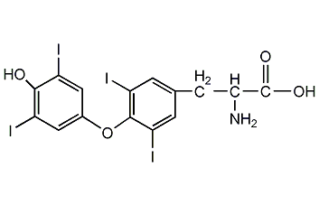 L-甲狀腺素結(jié)構(gòu)式